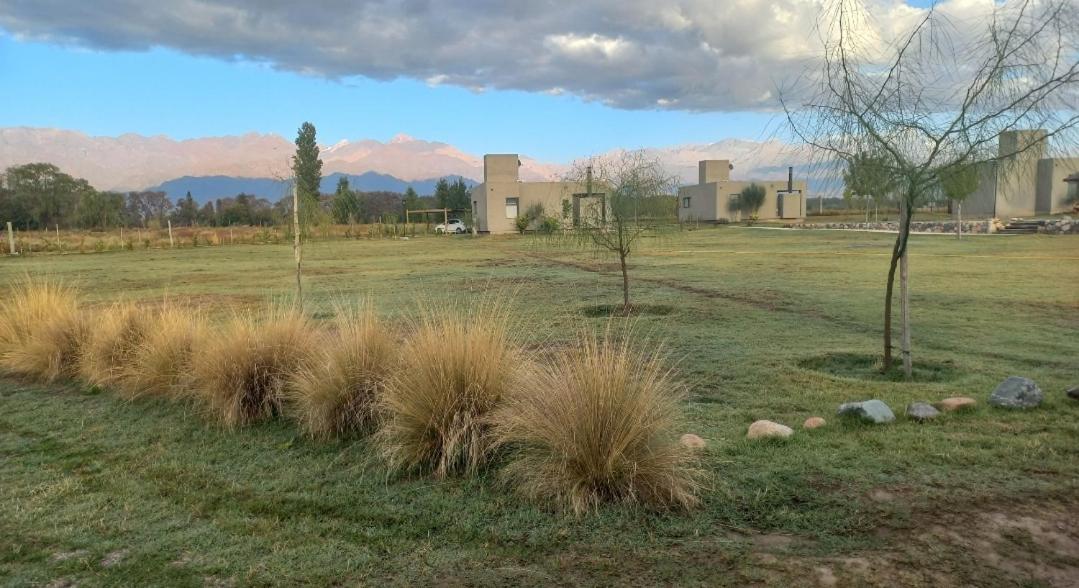Complejo Piuquenes Lodge Valle de Uco Vista Flores Exterior foto